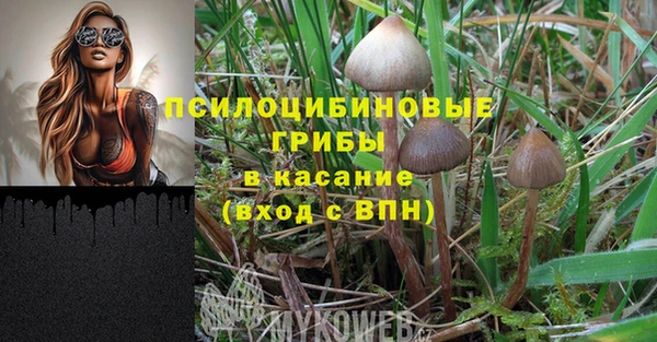 каннабис Алексин