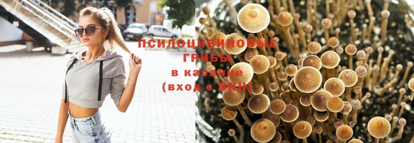 соль курить ск Алексеевка