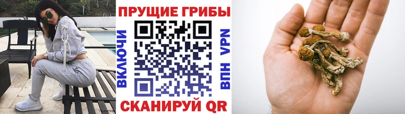 Псилоцибиновые грибы MAGIC MUSHROOMS shop телеграм Комсомольск